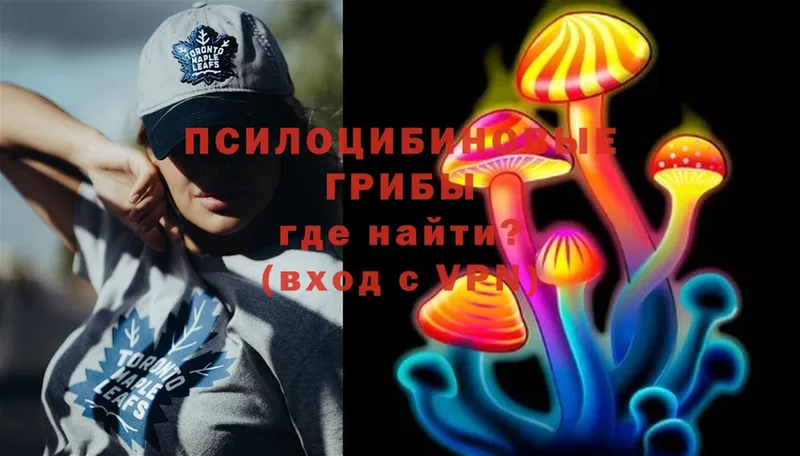 kraken ссылки  Мамадыш  Псилоцибиновые грибы MAGIC MUSHROOMS 